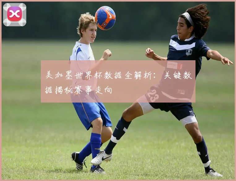 美加墨世界杯数据全解析：关键数据揭秘赛事走向